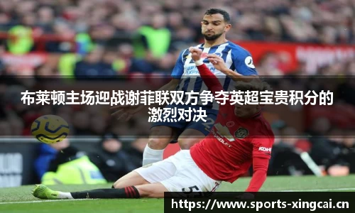 布莱顿主场迎战谢菲联双方争夺英超宝贵积分的激烈对决